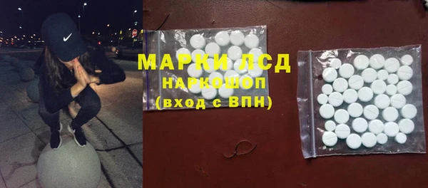 PSILOCYBIN Алзамай