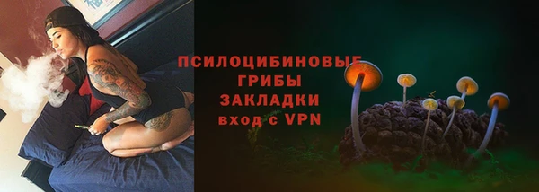 первитин Алексеевка