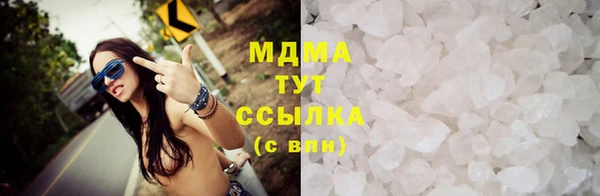 PSILOCYBIN Алзамай