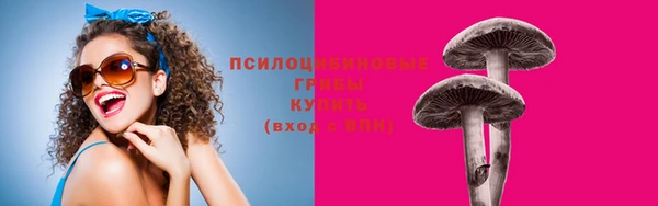 PSILOCYBIN Алзамай