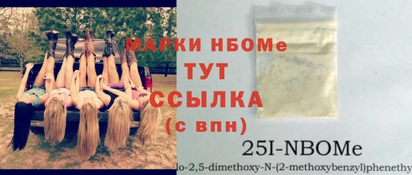 PSILOCYBIN Алзамай