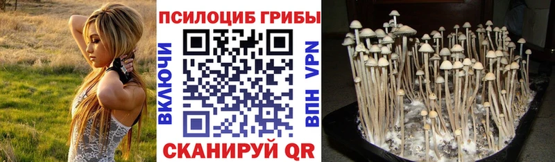 Галлюциногенные грибы мухоморы  Купить где  Чехов 